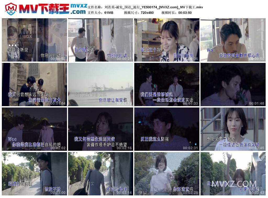 刘若英-诚实_国语_流行_YE500174